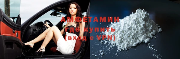 твердый Краснослободск