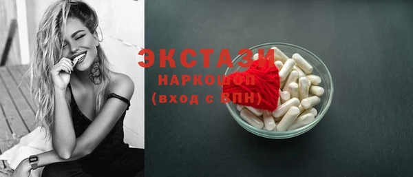 твердый Краснослободск