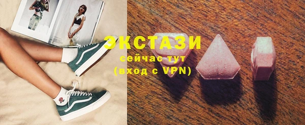 твердый Краснослободск