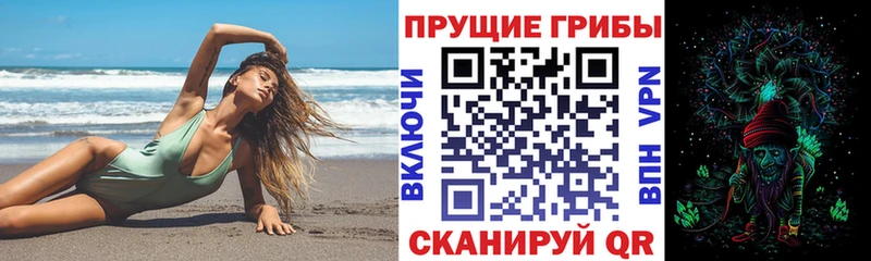 Псилоцибиновые грибы Psilocybe  Петрозаводск 